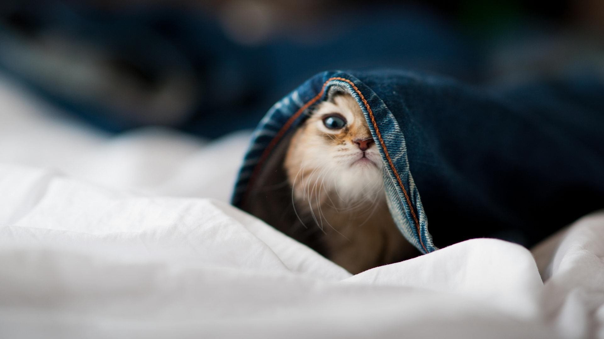 开云体育官网下载-中国女篮全队无伤病困扰 备战节奏平稳，中国女篮阵容分析