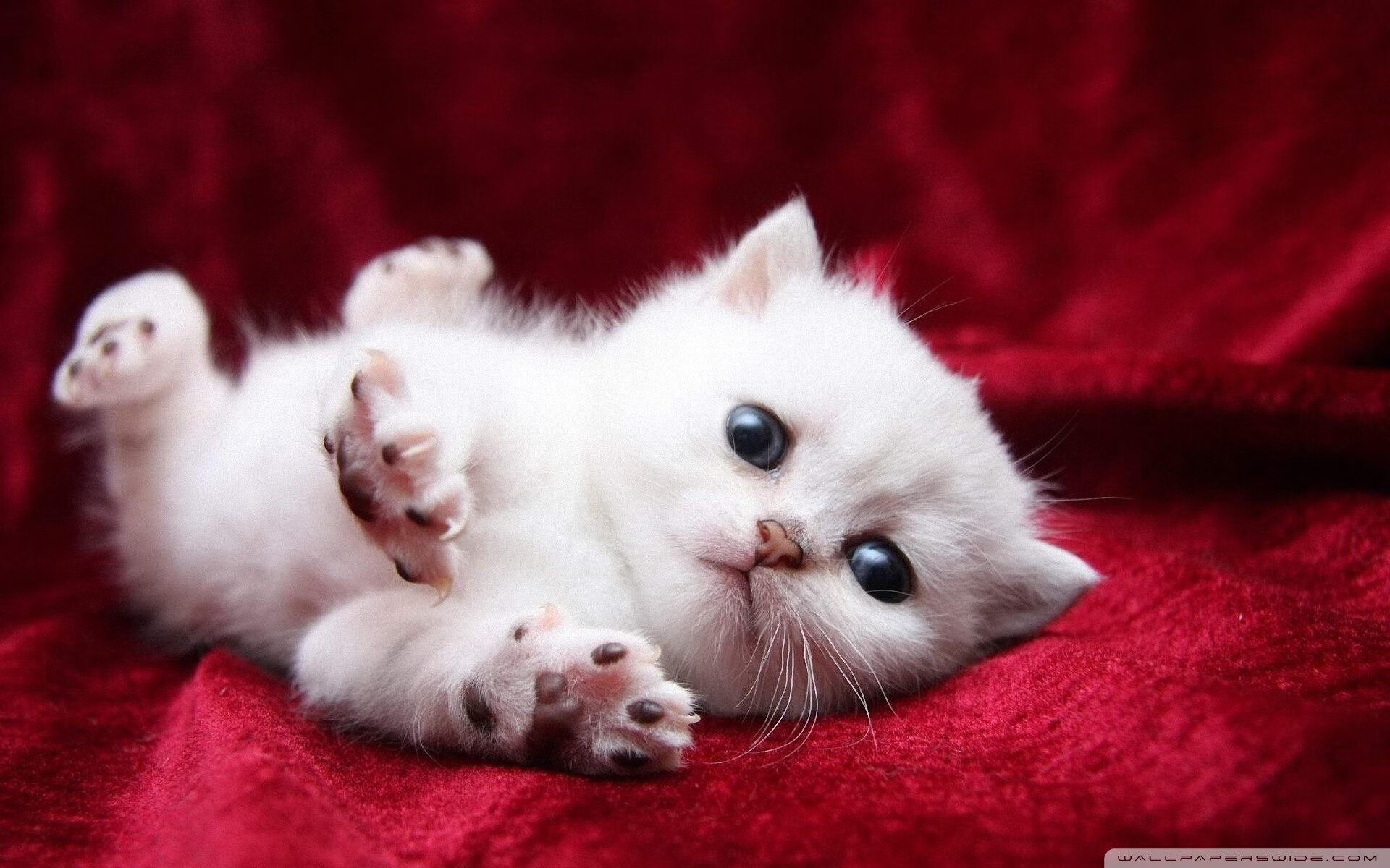 高压防守中球员如何寻求进攻平衡,高压防守中球员如何寻求进攻平衡状态