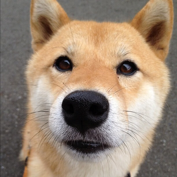 高压防守中球员如何寻求进攻平衡,高压防守中球员如何寻求进攻平衡状态